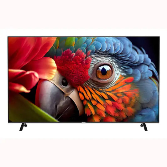 Televisore Innohit IH65UWB4 con schermo ampio e immagine ad alta definizione di un pappagallo colorato