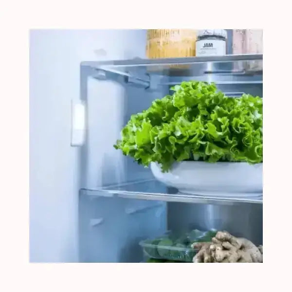 Interno del frigorifero MIDEA con ripiani in vetro e verdure fresche conservate
