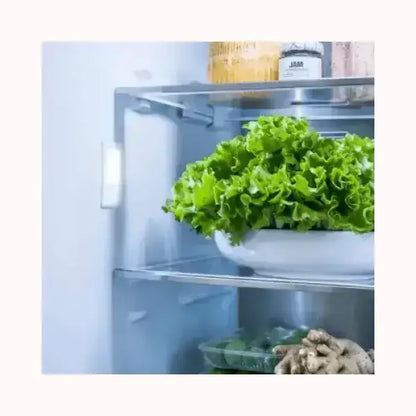 Interno del frigorifero MIDEA con ripiani in vetro e verdure fresche conservate