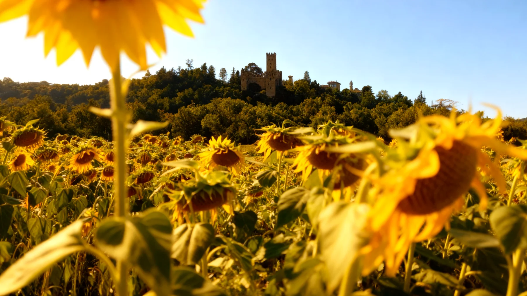 La forza di una donna2026-01-30T14:34:08.370Z"