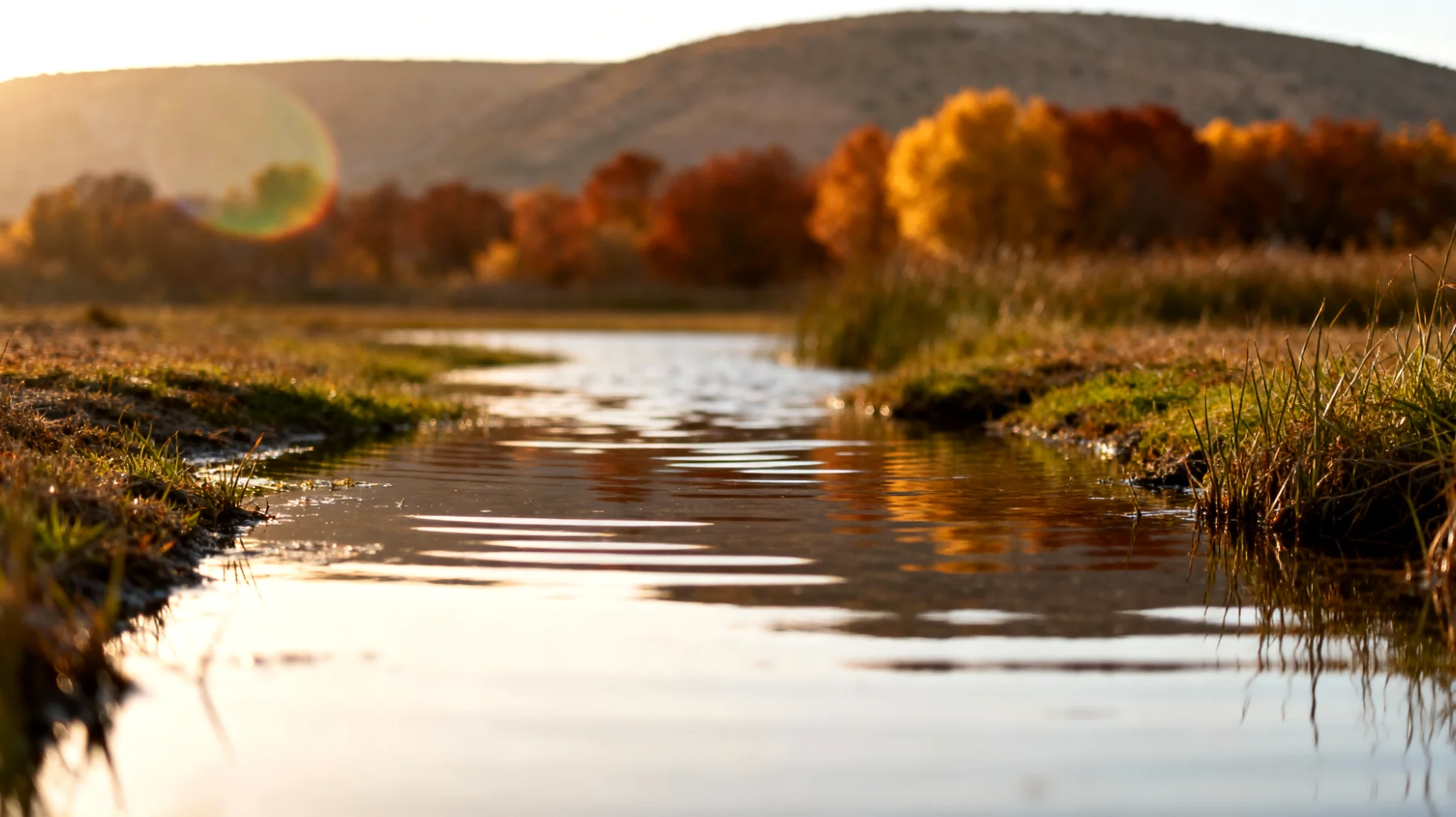 Parco Nazionale di Ichkeul"